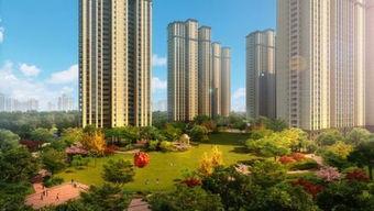 金辉城最新爆料事件,揭秘项目真相与争议焦点